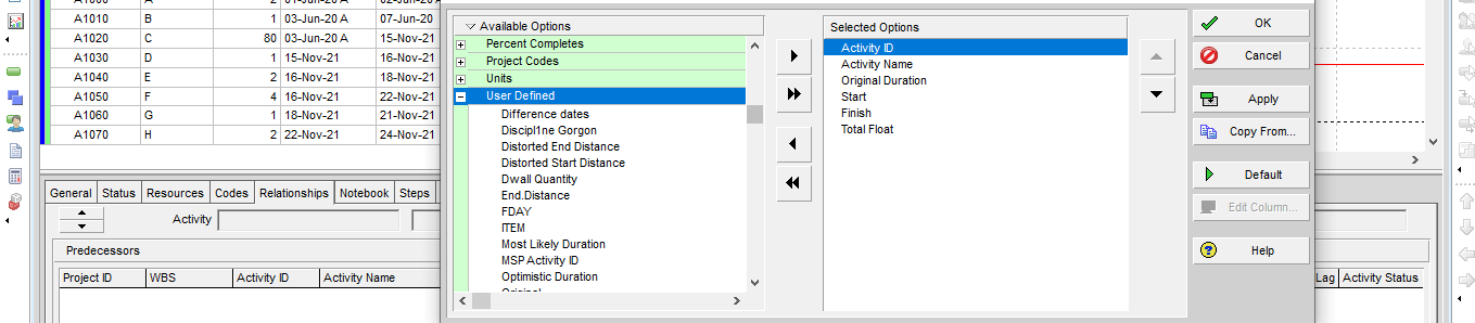 P6 - Custom Fields