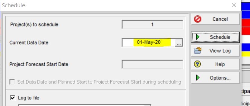 Primavera P6 Scheduling Options