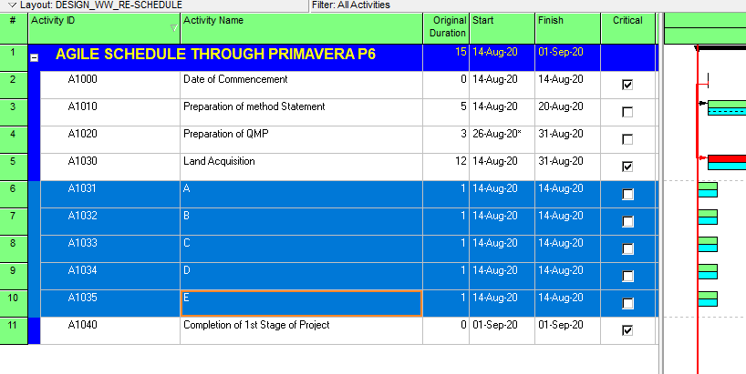 Agile Schedule through Primavera 