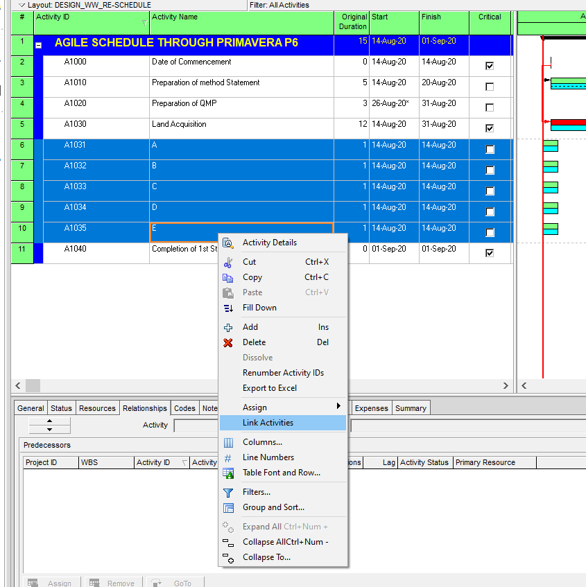 Agile Schedule through Primavera 