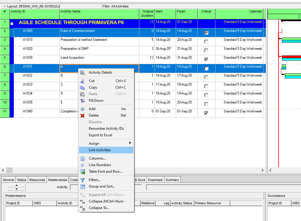 Agile Schedule through Primavera