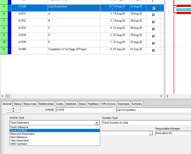 Agile Schedule through Primavera 