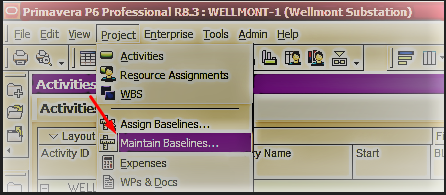 Maintain & Backup Primavera P6 Baseline Schedules