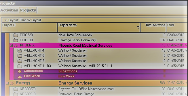 Maintain & Backup Primavera P6 Baseline Schedules