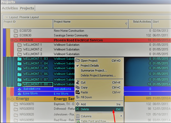 Maintain & Backup Primavera P6 Baseline Schedules