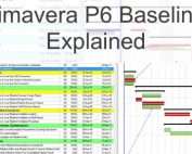 Displaying 4 Baselines in Primavera