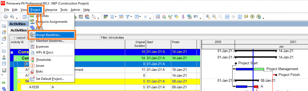 Display 4 Baselines 