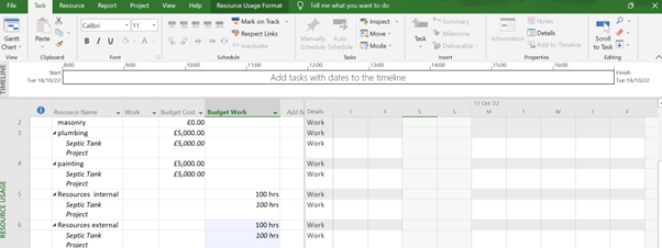 Setting Up Project Budget Cost In MS Project: MS Project