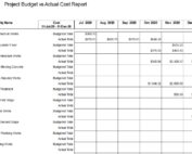 Primavera P6 Actual Cost report