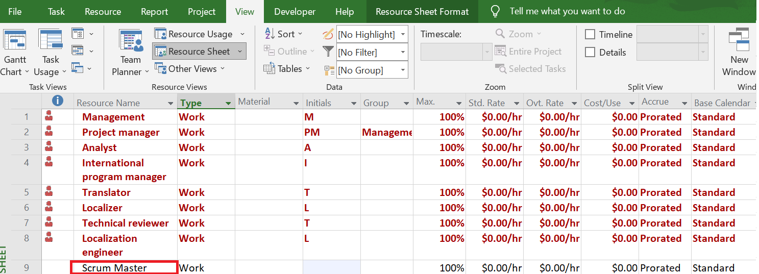 ms project vba resource assignment