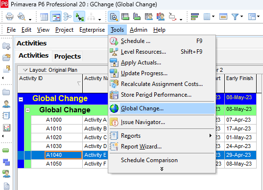 Utilization of Global Change in Primavera P6