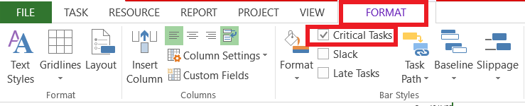 How To Find Critical Path Through Ms Project And Primavera P6?