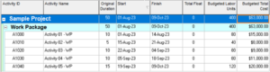 Export Primavera P6 Project Data to Excel