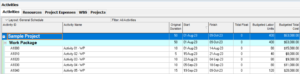 Export Primavera P6 Project Data to Excel