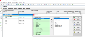 How to Export Primavera P6 Project Data to Excel