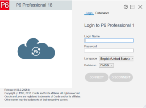 How to Export Primavera P6 Project Data to Excel