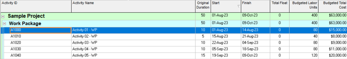 How to Use Global Change Tool in Oracle Primavera P6?