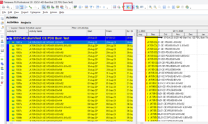 Primavera P6 Spotlight Function