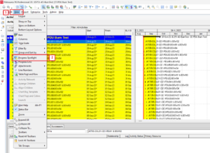 Primavera P6 Spotlight Function