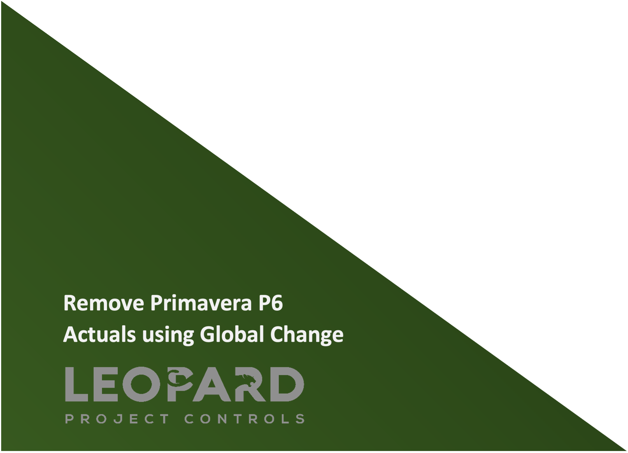 Remove Primavera P6 Actuals