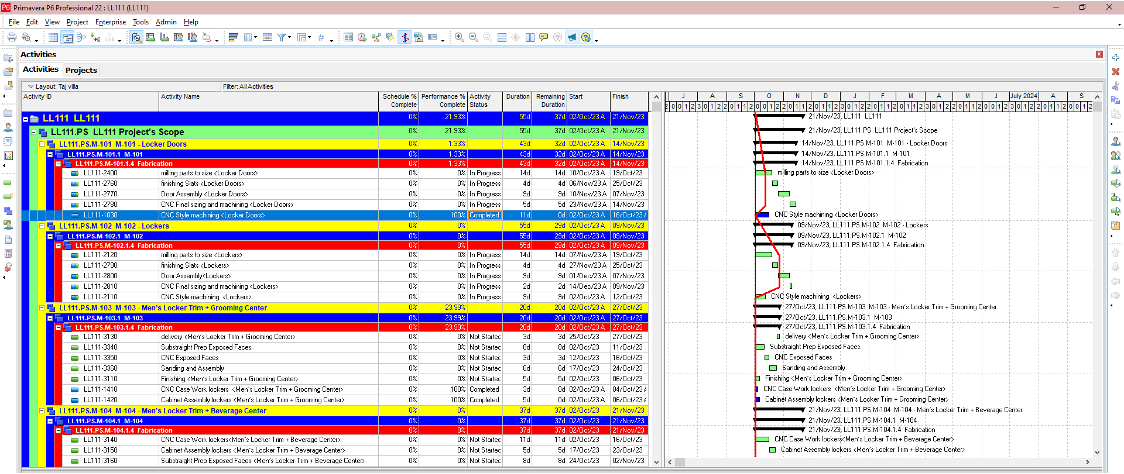 Remove Primavera P6 Actuals